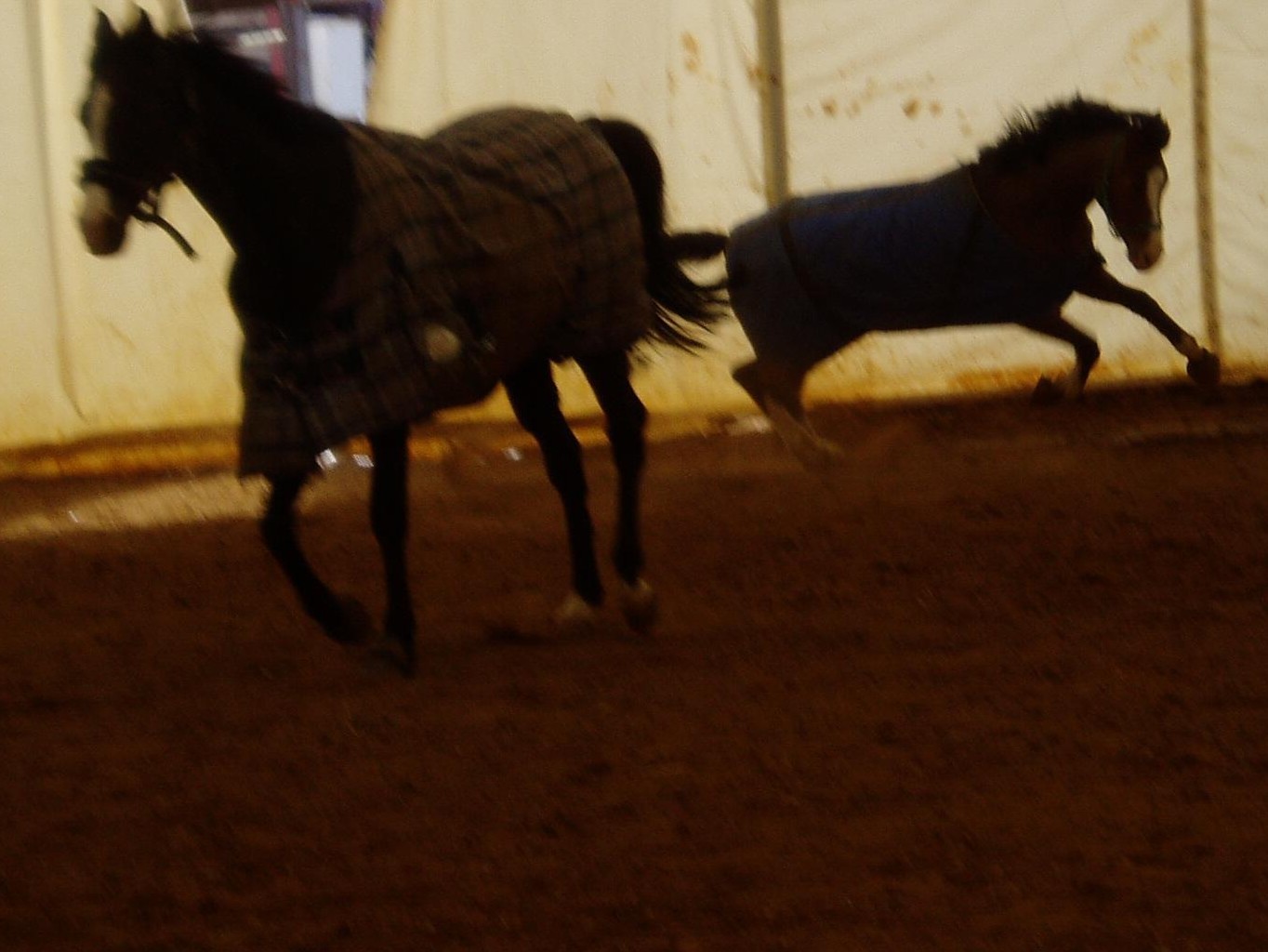 Hecjozo a Greit